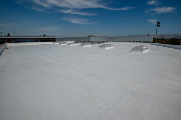 Best 4 Ply Roofing  in Dunlap, OH