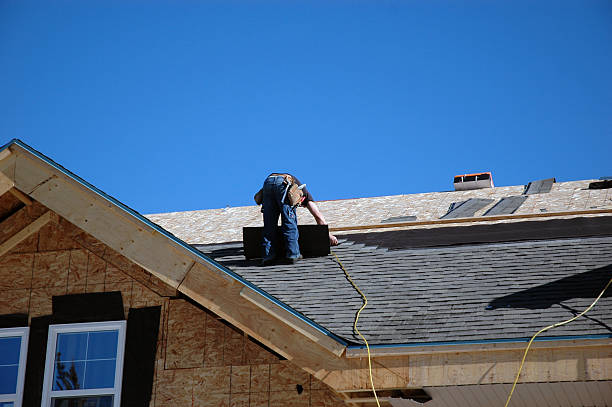 Best Asphalt Shingle Roofing  in Dunlap, OH