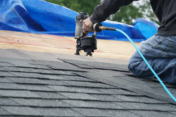Best Roof Insulation Installation  in Dunlap, OH